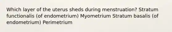 Which layer of the uterus sheds during menstruation? Stratum functionalis (of endometrium) Myometrium Stratum basalis (of endometrium) Perimetrium