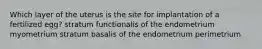 Which layer of the uterus is the site for implantation of a fertilized egg? stratum functionalis of the endometrium myometrium stratum basalis of the endometrium perimetrium