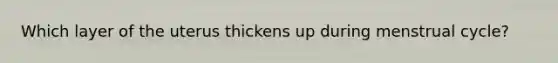 Which layer of the uterus thickens up during menstrual cycle?