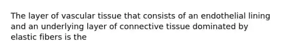 The layer of vascular tissue that consists of an endothelial lining and an underlying layer of connective tissue dominated by elastic fibers is the