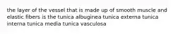 the layer of the vessel that is made up of smooth muscle and elastic fibers is the tunica albuginea tunica externa tunica interna tunica media tunica vasculosa