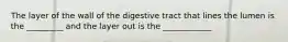 The layer of the wall of the digestive tract that lines the lumen is the _________ and the layer out is the ____________