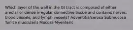 Which layer of the wall in the GI tract is composed of either areolar or dense irregular connective tissue and contains nerves, blood vessels, and lymph vessels? Adventitia/serosa Submucosa Tunica muscularis Mucosa Myenteric