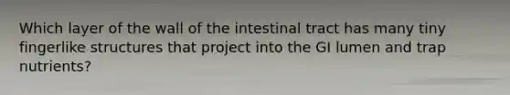 Which layer of the wall of the intestinal tract has many tiny fingerlike structures that project into the GI lumen and trap nutrients?