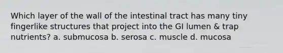 Which layer of the wall of the intestinal tract has many tiny fingerlike structures that project into the GI lumen & trap nutrients? a. submucosa b. serosa c. muscle d. mucosa