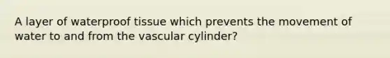 A layer of waterproof tissue which prevents the movement of water to and from the vascular cylinder?