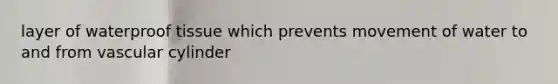 layer of waterproof tissue which prevents movement of water to and from vascular cylinder