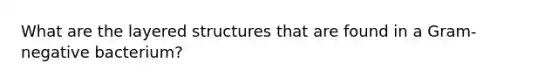 What are the layered structures that are found in a Gram-negative bacterium?