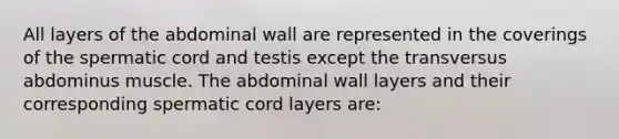 All layers of the abdominal wall are represented in the coverings of the spermatic cord and testis except the transversus abdominus muscle. The abdominal wall layers and their corresponding spermatic cord layers are: