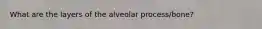 What are the layers of the alveolar process/bone?