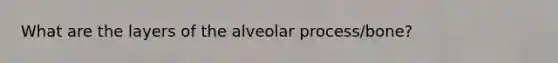 What are the layers of the alveolar process/bone?