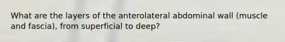 What are the layers of the anterolateral abdominal wall (muscle and fascia), from superficial to deep?