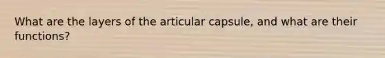 What are the layers of the articular capsule, and what are their functions?