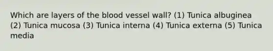 Which are layers of the blood vessel wall? (1) Tunica albuginea (2) Tunica mucosa (3) Tunica interna (4) Tunica externa (5) Tunica media