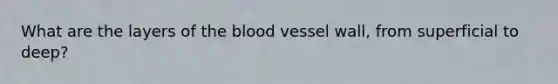 What are the layers of the blood vessel wall, from superficial to deep?