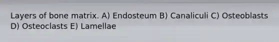 Layers of bone matrix. A) Endosteum B) Canaliculi C) Osteoblasts D) Osteoclasts E) Lamellae