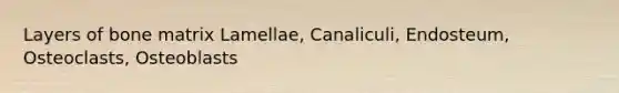 Layers of bone matrix Lamellae, Canaliculi, Endosteum, Osteoclasts, Osteoblasts
