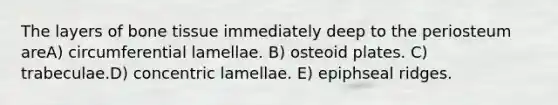 The layers of bone tissue immediately deep to the periosteum areA) circumferential lamellae. B) osteoid plates. C) trabeculae.D) concentric lamellae. E) epiphseal ridges.