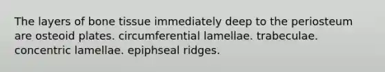 The layers of bone tissue immediately deep to the periosteum are osteoid plates. circumferential lamellae. trabeculae. concentric lamellae. epiphseal ridges.