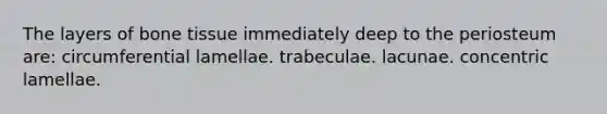 The layers of bone tissue immediately deep to the periosteum are: circumferential lamellae. trabeculae. lacunae. concentric lamellae.