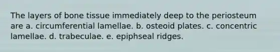 The layers of bone tissue immediately deep to the periosteum are a. circumferential lamellae. b. osteoid plates. c. concentric lamellae. d. trabeculae. e. epiphseal ridges.