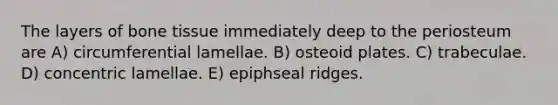 The layers of bone tissue immediately deep to the periosteum are A) circumferential lamellae. B) osteoid plates. C) trabeculae. D) concentric lamellae. E) epiphseal ridges.