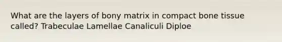 What are the layers of bony matrix in compact bone tissue called? Trabeculae Lamellae Canaliculi Diploe