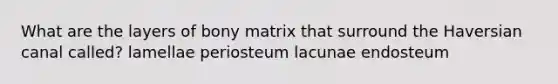 What are the layers of bony matrix that surround the Haversian canal called? lamellae periosteum lacunae endosteum