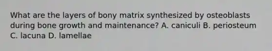 What are the layers of bony matrix synthesized by osteoblasts during bone growth and maintenance? A. caniculi B. periosteum C. lacuna D. lamellae