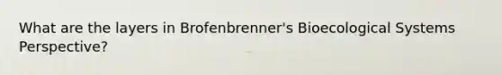 What are the layers in Brofenbrenner's Bioecological Systems Perspective?