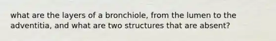 what are the layers of a bronchiole, from the lumen to the adventitia, and what are two structures that are absent?