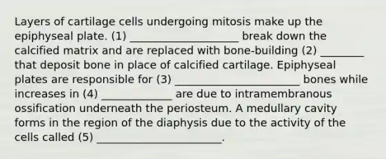 Layers of cartilage cells undergoing mitosis make up the epiphyseal plate. (1) ____________________ break down the calcified matrix and are replaced with bone-building (2) ________ that deposit bone in place of calcified cartilage. Epiphyseal plates are responsible for (3) _______________________ bones while increases in (4) _____________ are due to intramembranous ossification underneath the periosteum. A medullary cavity forms in the region of the diaphysis due to the activity of the cells called (5) _______________________.