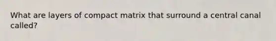 What are layers of compact matrix that surround a central canal called?