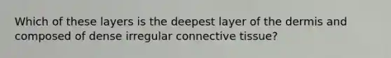 Which of these layers is the deepest layer of the dermis and composed of dense irregular connective tissue?