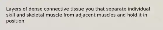 Layers of dense connective tissue you that separate individual skill and skeletal muscle from adjacent muscles and hold it in position