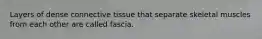 Layers of dense connective tissue that separate skeletal muscles from each other are called fascia.