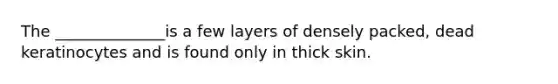 The ______________is a few layers of densely packed, dead keratinocytes and is found only in thick skin.