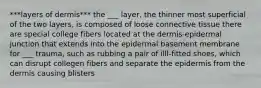 ***layers of dermis*** the ___ layer, the thinner most superficial of the two layers, is composed of loose connective tissue there are special college fibers located at the dermis-epidermal junction that extends into the epidermal basement membrane for ___ trauma, such as rubbing a pair of illl-fitted shoes, which can disrupt collegen fibers and separate the epidermis from the dermis causing blisters