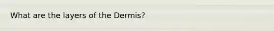 What are the layers of <a href='https://www.questionai.com/knowledge/kEsXbG6AwS-the-dermis' class='anchor-knowledge'>the dermis</a>?