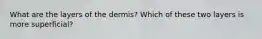 What are the layers of the dermis? Which of these two layers is more superficial?