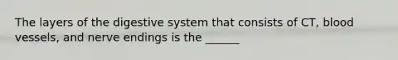 The layers of the digestive system that consists of CT, blood vessels, and nerve endings is the ______