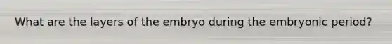 What are the layers of the embryo during the embryonic period?