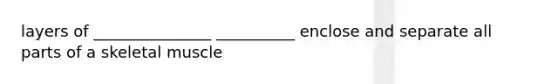 layers of _______________ __________ enclose and separate all parts of a skeletal muscle