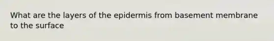 What are the layers of the epidermis from basement membrane to the surface