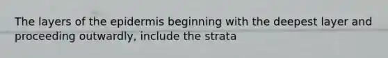 The layers of the epidermis beginning with the deepest layer and proceeding outwardly, include the strata
