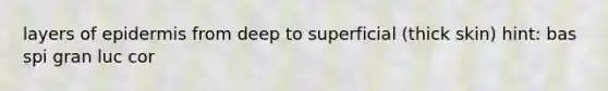 layers of epidermis from deep to superficial (thick skin) hint: bas spi gran luc cor