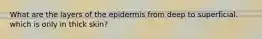 What are the layers of the epidermis from deep to superficial. which is only in thick skin?