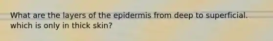 What are the layers of <a href='https://www.questionai.com/knowledge/kBFgQMpq6s-the-epidermis' class='anchor-knowledge'>the epidermis</a> from deep to superficial. which is only in thick skin?