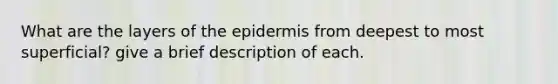 What are the layers of the epidermis from deepest to most superficial? give a brief description of each.