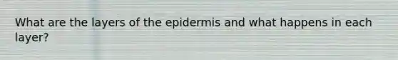 What are the layers of the epidermis and what happens in each layer?